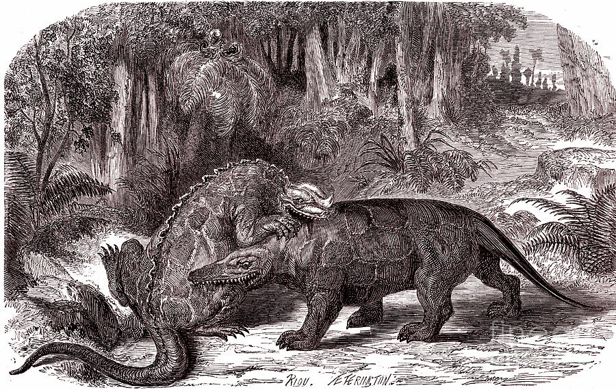 iguanodon 1800s