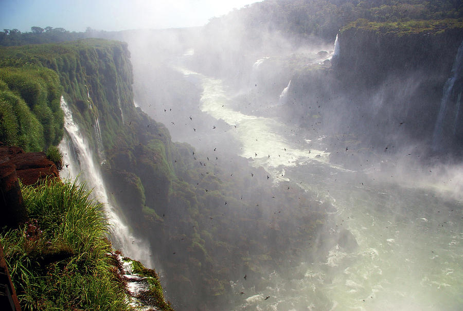 Iguazú Falls Photograph by Photography By Jessie Reeder