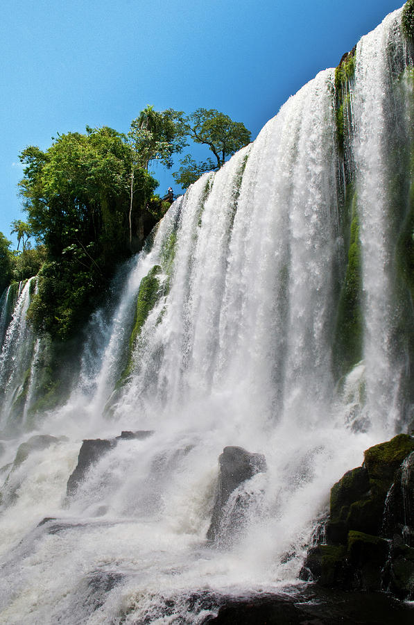 Iguazu Falls Photograph by Fo Dommergues
