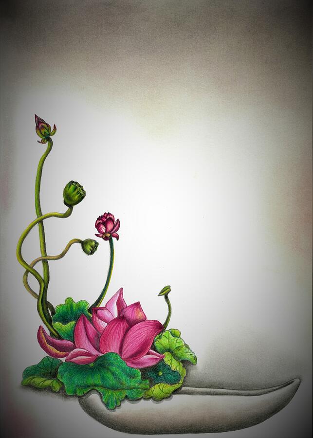 Ikebana Drawing by Tara Krishna