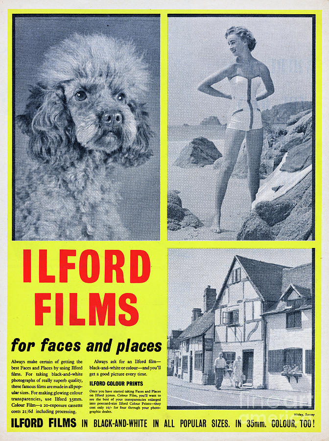 Ilford Photographic Film Photograph by Picture Post