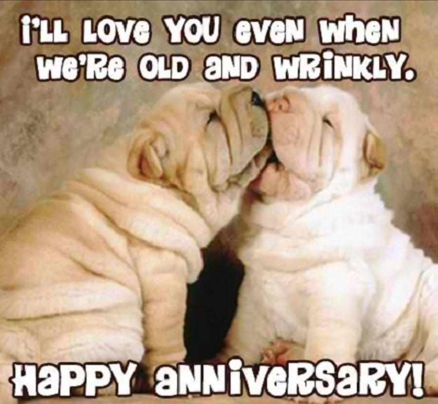 Dog Mixed Media - Ill love you even when were old and wrinkly by Funny ny