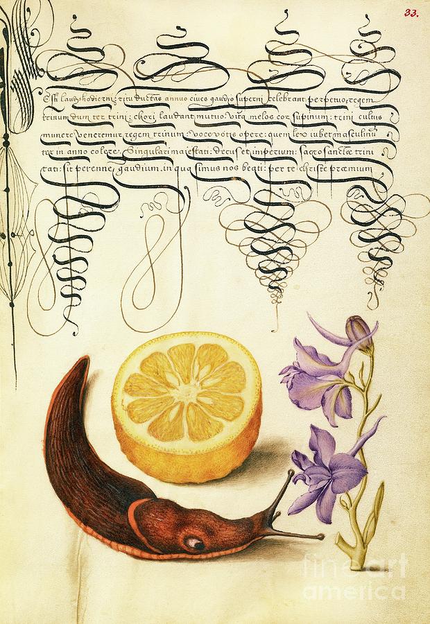 Illuminated Calligraphic Manuscript Photograph by The Getty/science