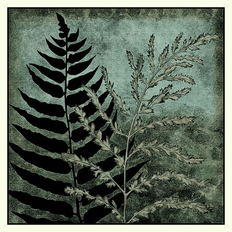 Botanical Painting - Illuminated Ferns IIi by Megan Meagher