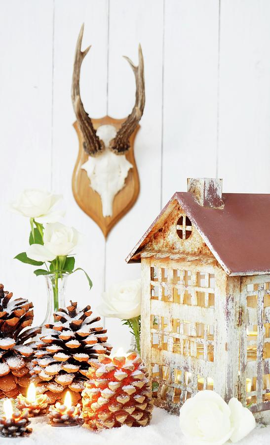 Illuminated House Ornament, Pine Cones And White Roses In Front Of Antlers On Wall Photograph by Angelica Linnhoff