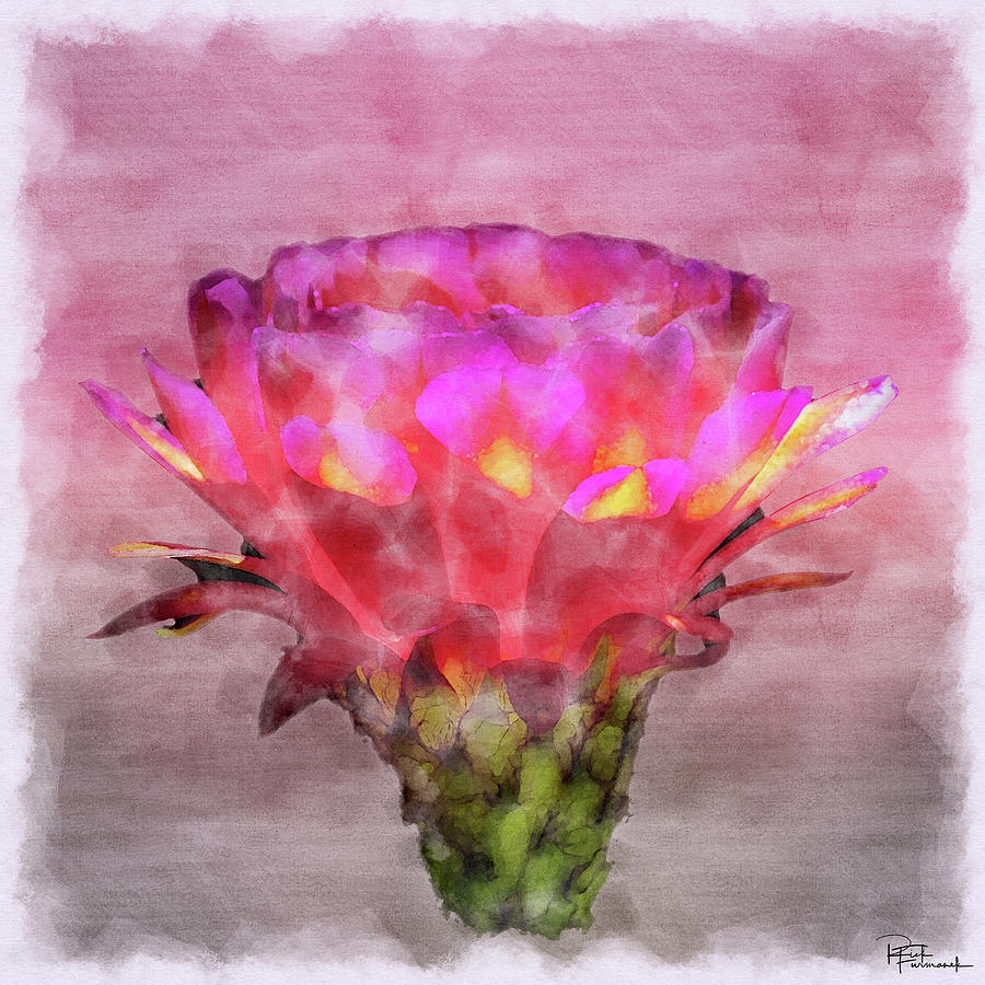 Illumination in Digital Watercolor by Rick Furmanek Illumination in Digital Watercolor by Rick Furmanek
