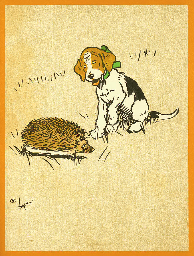 Puppy and Hedgehog, illustration of Drawing by Cecil Aldin