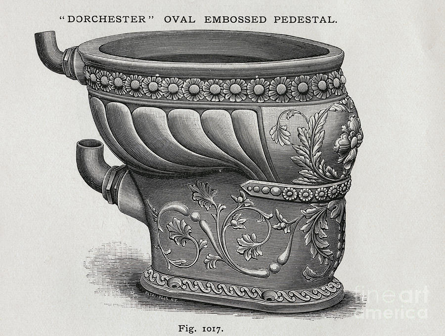 Illustration Depicting Toilet Bowls Photograph by Bettmann