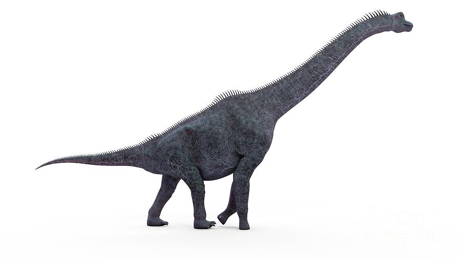 feathered brachiosaurus