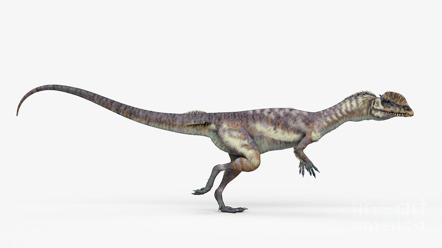 Illustration Of A Dilophosaurus Photograph by Sebastian Kaulitzki/science Photo Library
