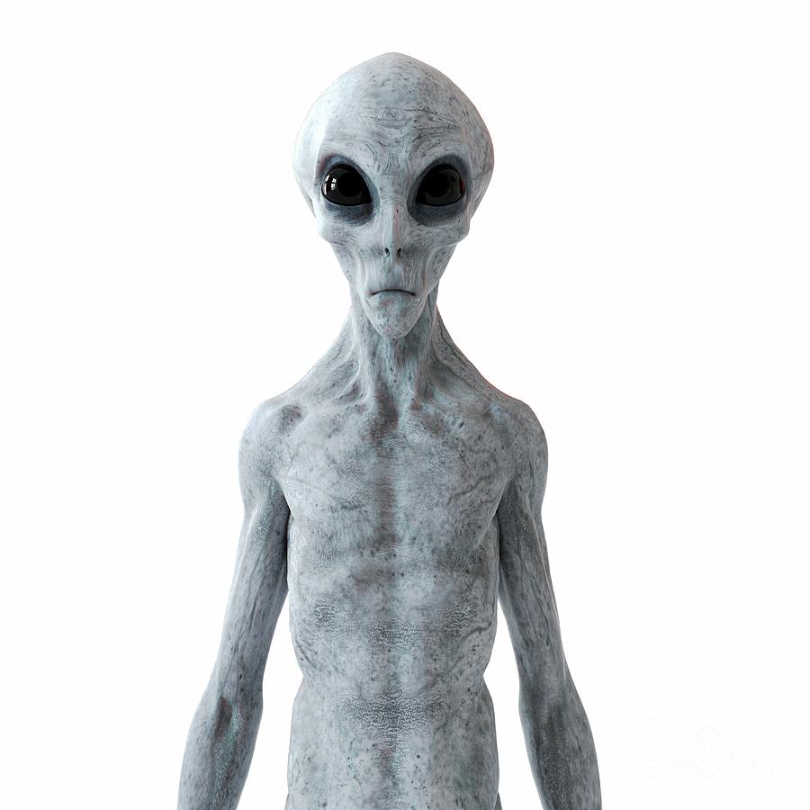 Illustration Of A Humanoid Alien Photograph by Sebastian Kaulitzki ...