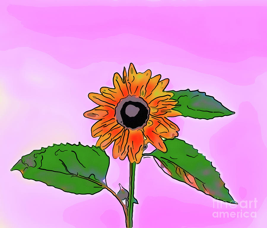 Illustration of a Sunflower on a pink background Mixed