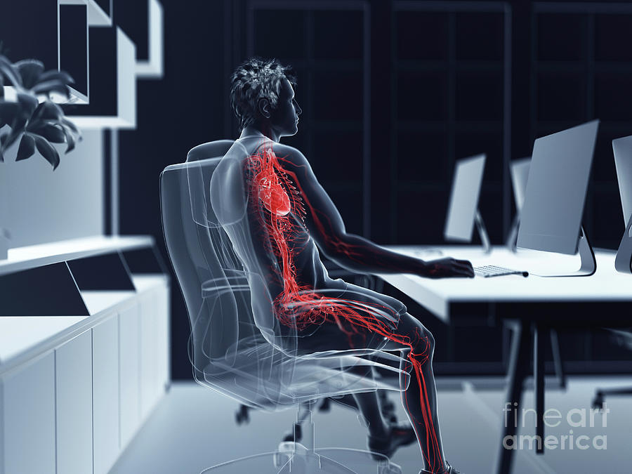 3d Photograph - Illustration Of An Office Workers Vascular System by Sebastian Kaulitzki/science Photo Library 3d Photograph - Illustration Of An Office Workers Vascular System by Sebastian Kaulitzki/science Photo Library