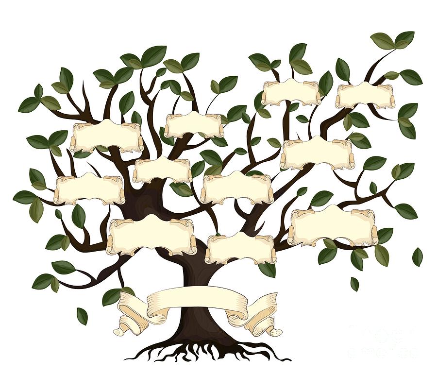 Illustration Of Family Tree Digital Art by Gordana Simic | Fine Art America