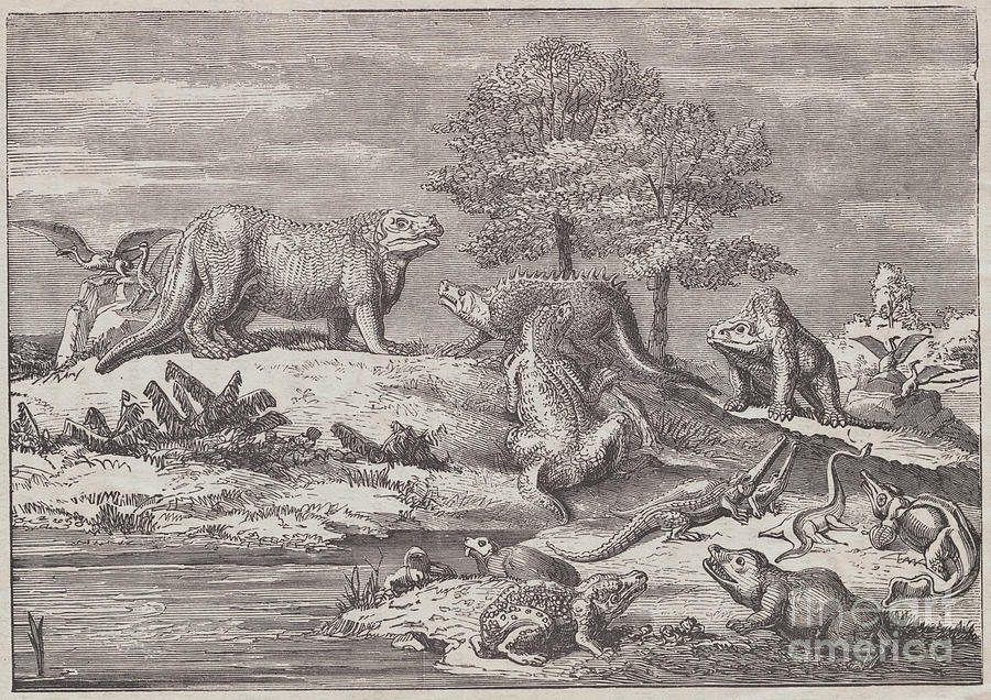 Illustration Of Prehistoric Animals Photograph by Bettmann