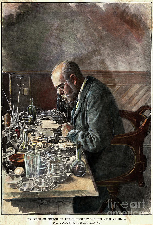 Illustration Of Scientist Robert Koch Photograph by Bettmann