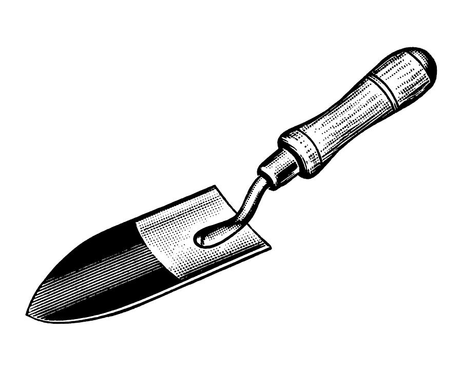 Illustration of trowel Drawing by CSA Images - Pixels