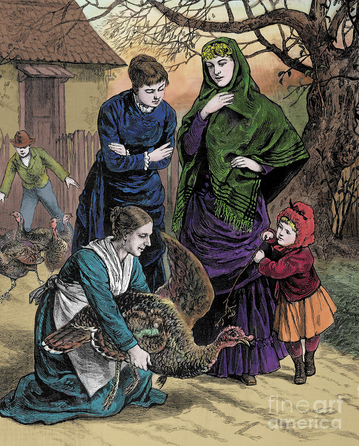 Illustration Of Women Selecting Photograph by Bettmann