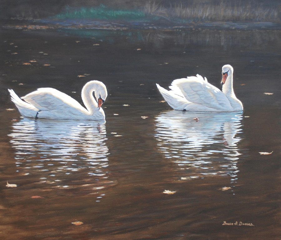 Illustrious Swans Painting by Bruce Dumas