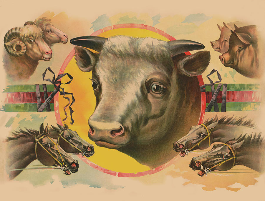 Images of Farm Animals Painting by Unknown