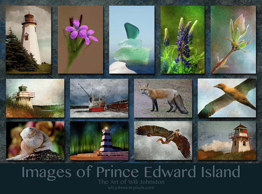 Images of Prince Edward Island 2 Photograph by WB Johnston