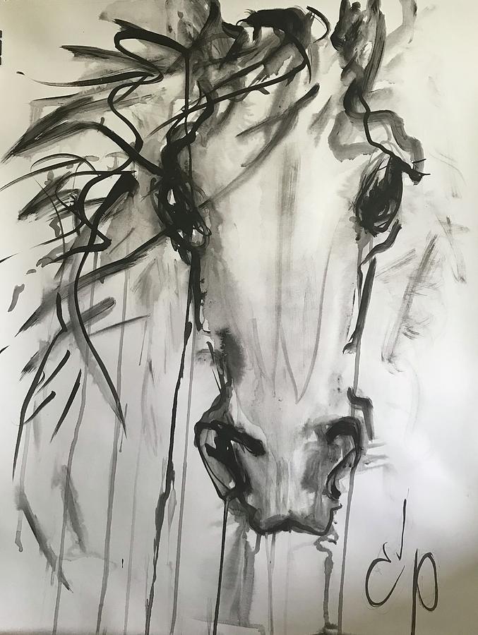 Horse Head by Elizabeth Parashis Horse Head by Elizabeth Parashis