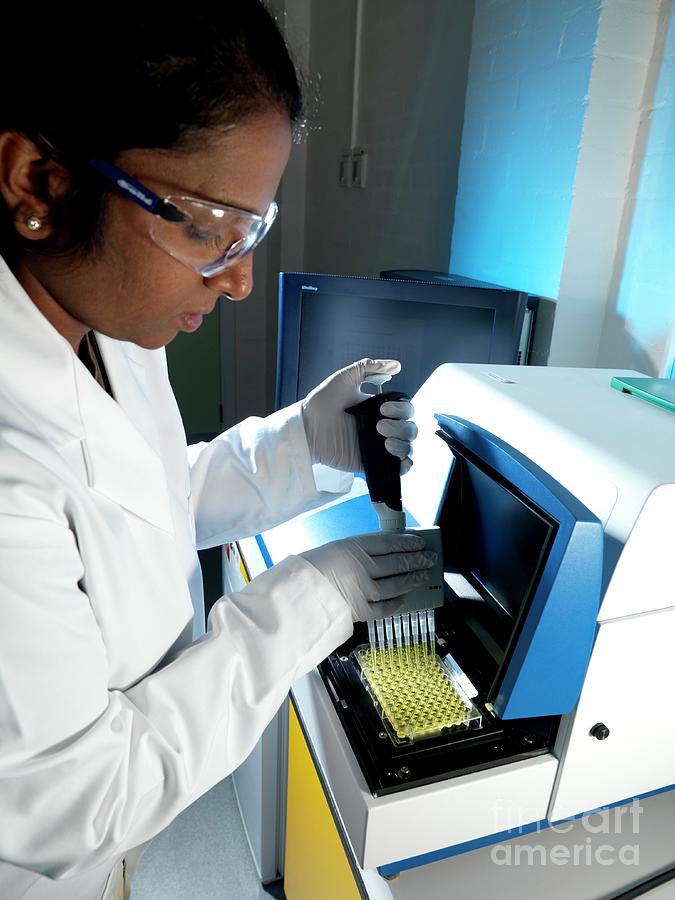 Immunoassay Sample Preparation Photograph By Andrew Brookes National Physical Laboratory 2721