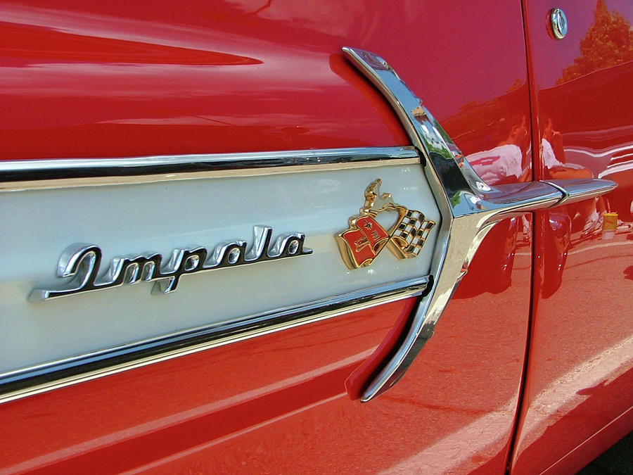 Impala Photograph by Katherine N Crowley