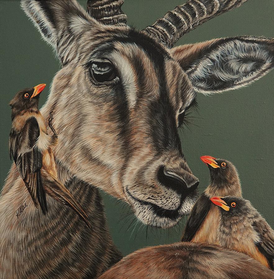 Impala by Katie McConnachie Impala by Katie McConnachie