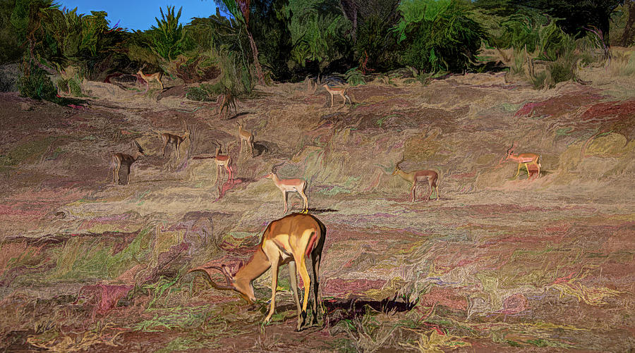 Impalas in the Hill,  Abstract Photograph by Marcy Wielfaert