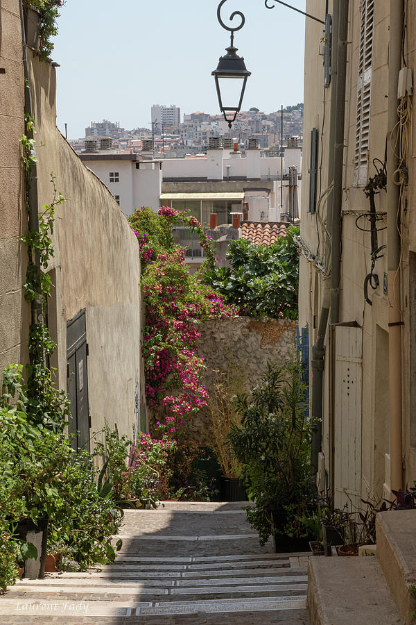 Impasse au Panier by Laurent Fady Impasse au Panier by Laurent Fady