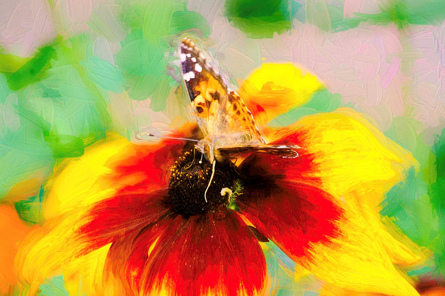 Impasto Painted Lady Butterfly Photograph by Don Northup