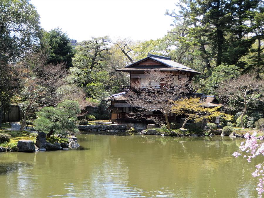 Imperial Palace Koi Pond Photograph by Jane Loomis - Fine Art America