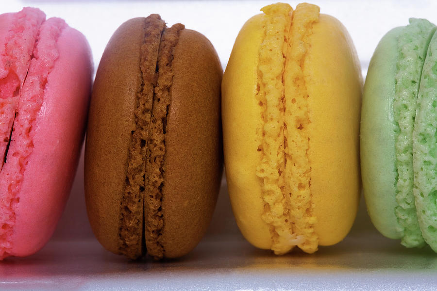 Imported Gourmet French Macarons Photograph by Diane Macdonald