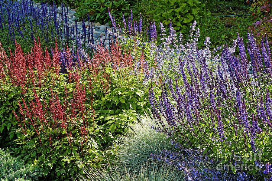 Impressionistic Garden Photograph by John  Mitchell
