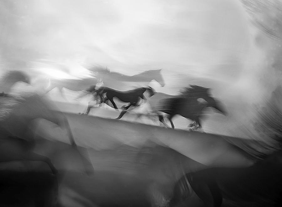 Impressive Gallop Photograph by Milan Malovrh