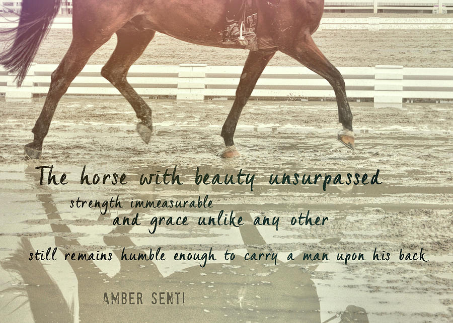 IMPULSION MIRRORED quote Photograph by JAMART Photography