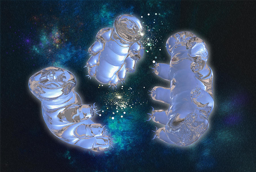 Tardigrades Digital Art - In A Beginning by Carmen Hathaway Tardigrades Digital Art - In A Beginning by Carmen Hathaway