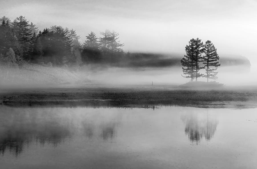 in-a-foggy-morning-photograph-by-osamu-hayashi-fine-art-america