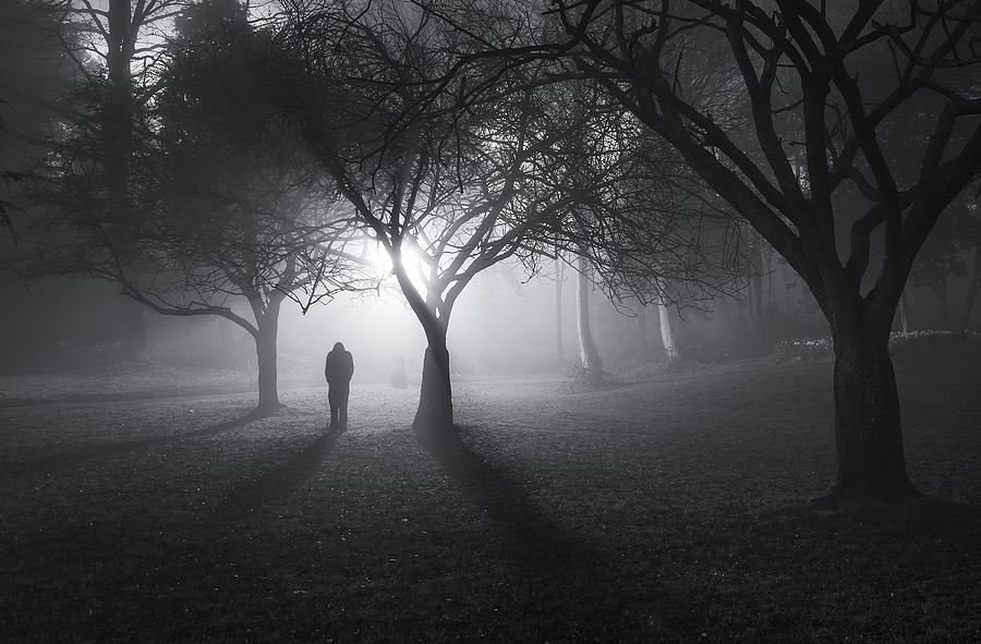 In A Land Of Mist ! Photograph by Yavuz Pancareken