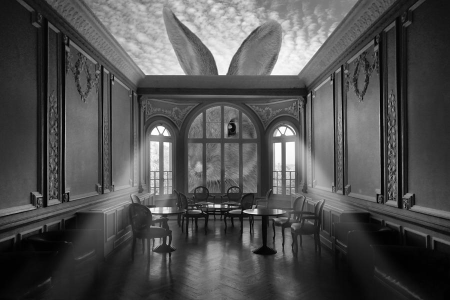 Black And White Photograph - In A Rabbits World by Christian Marcel