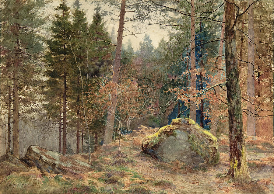 In a Welsh Pine Wood. Painting by James Thomas Watts In a Welsh Pine Wood. Painting by James Thomas Watts