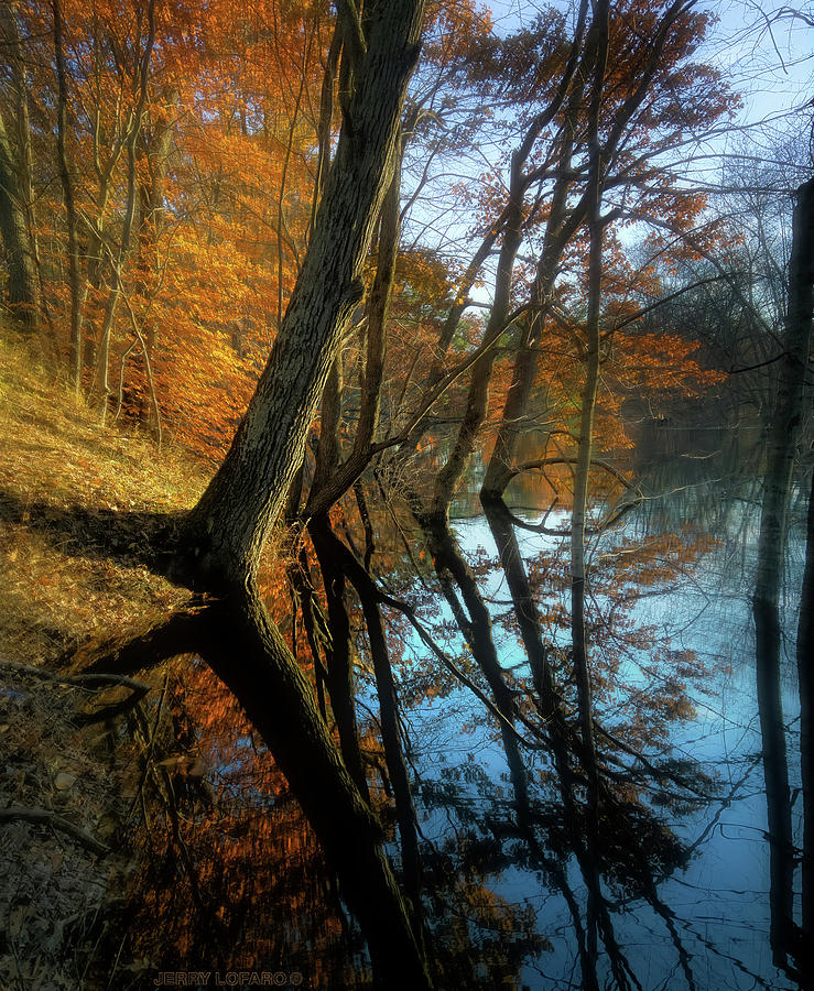 Fall Photograph - In Arcadia by Jerry LoFaro