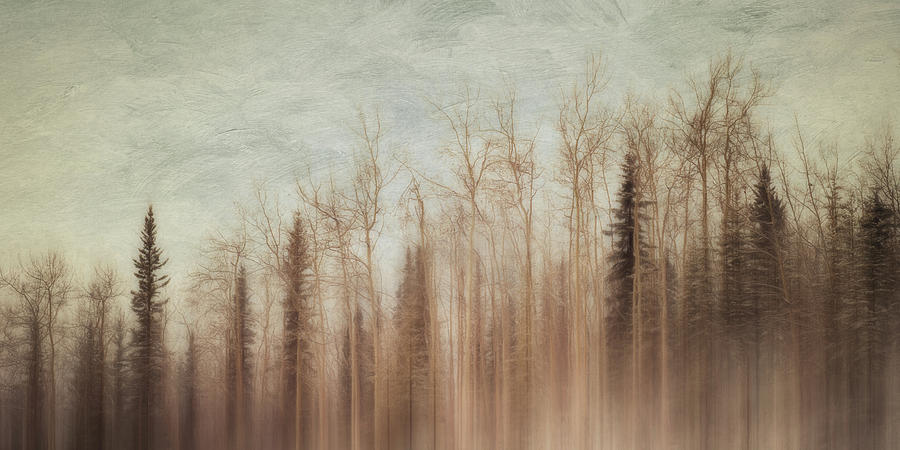 Landscape Photograph - In Between The Seasons by Priska Wettstein