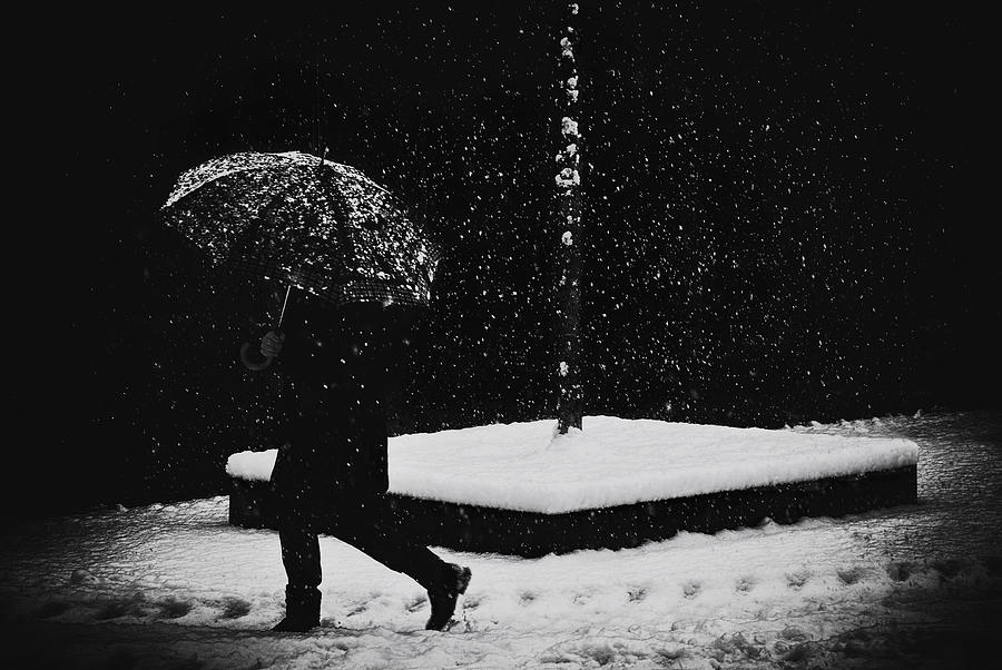 Winter Photograph - In Black by Samanta Krivec