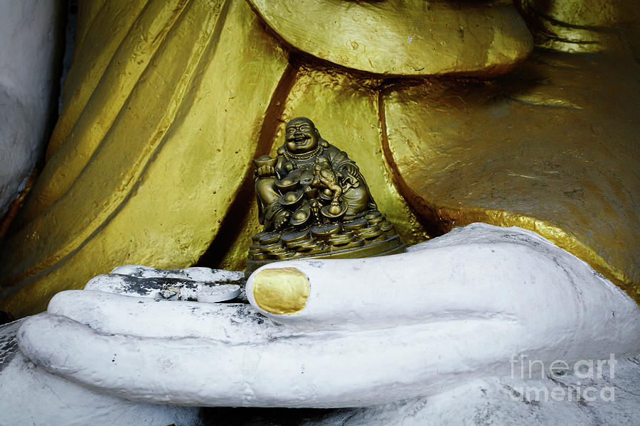 In Buddhas Hand III Photograph by Dean Harte