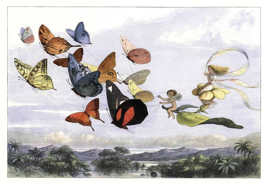 In Fairyland A Series of Pictures from the Elf-World. Drawing by Richard Doyle