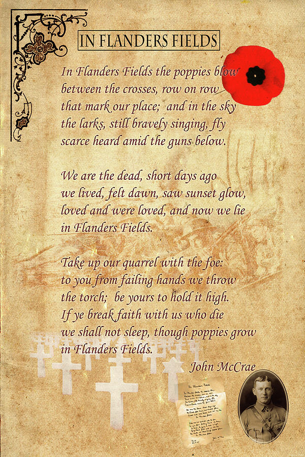 Poppy Photograph - In Flanders Fields by Andrew Fare
