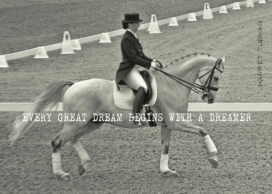 Horse Photograph - IN HARMONY quote by JAMART Photography