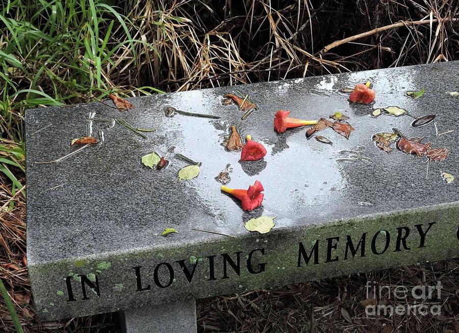 Flower Photograph - In Loving Memory by Beth Williams